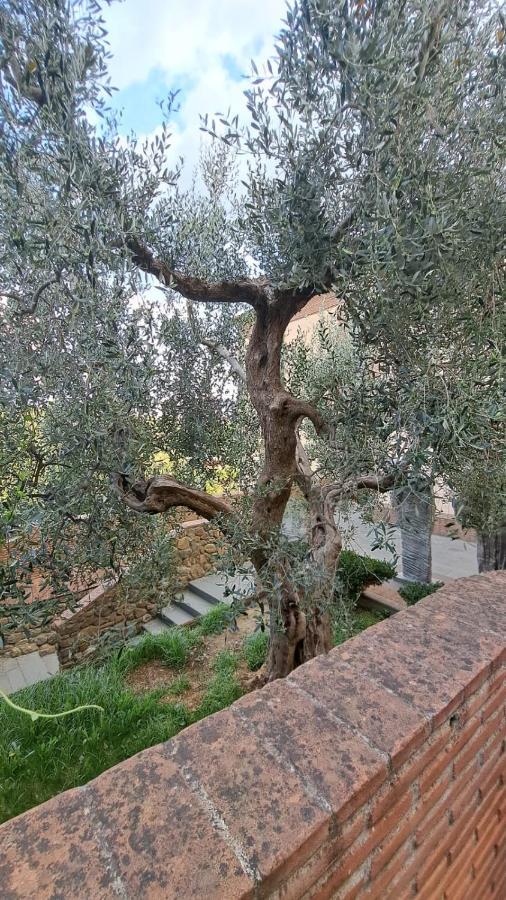דירות וינצ'י Casina Di Alice מראה חיצוני תמונה